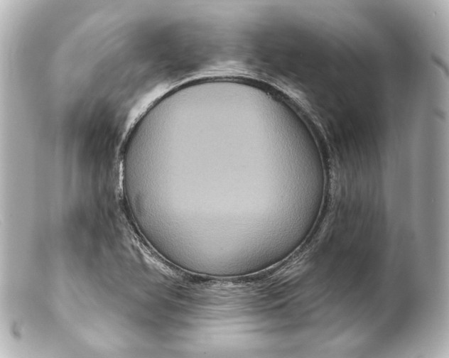 X0000099381366200805291120