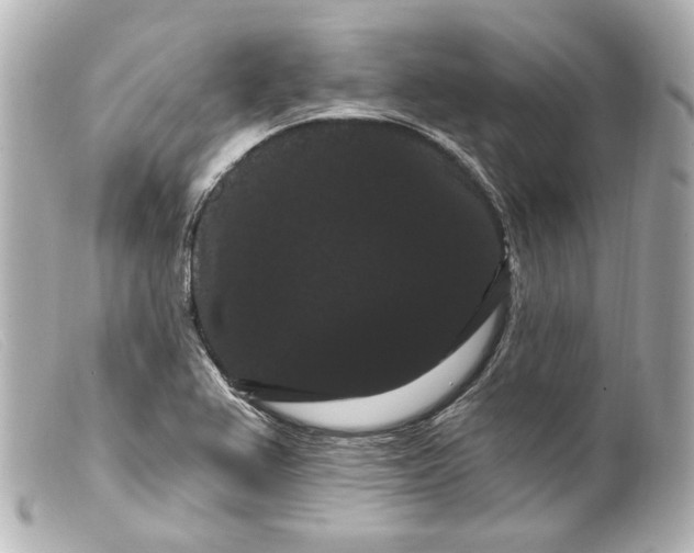 X0000099381367200805291120