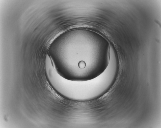 X0000099381369200805291120