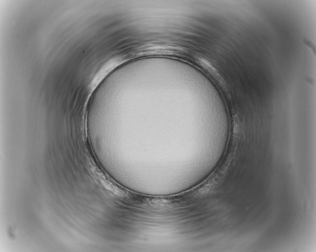 X0000099381370200805291120