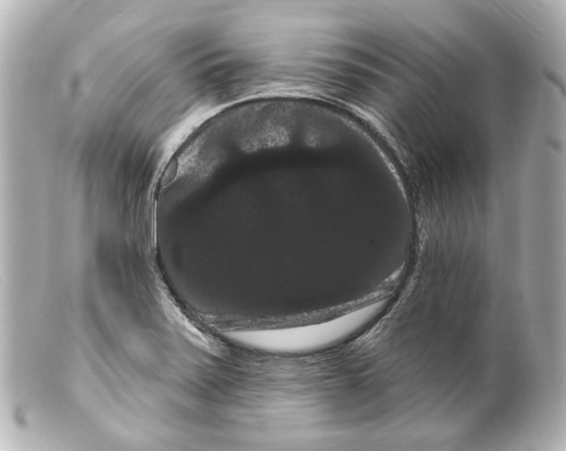 X0000099381371200805291120