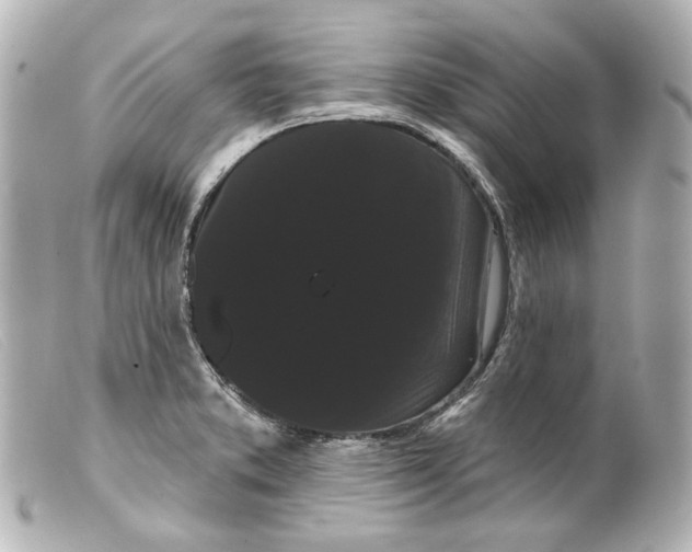 X0000099381373200805291120