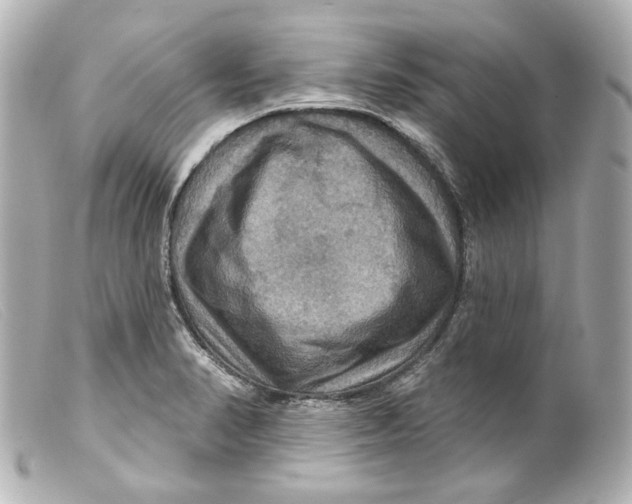 X0000099381374200805291119