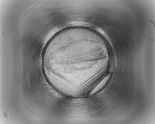 X0000099381376200805291119