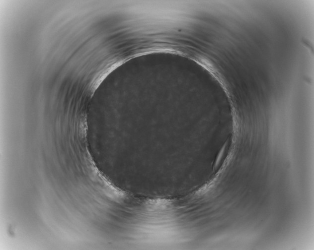 X0000099381377200805291119