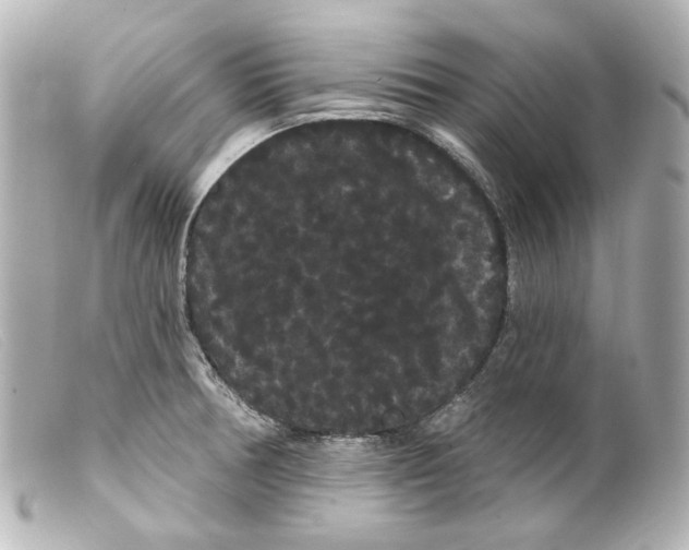 X0000099381378200805291119