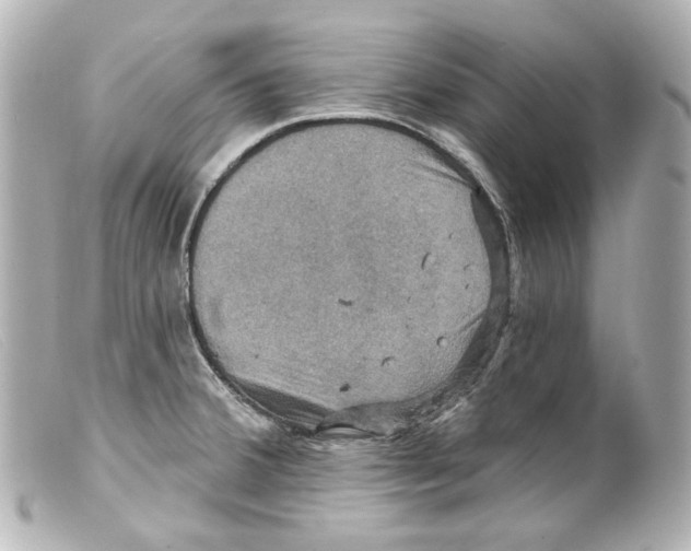 X0000099381380200805291119