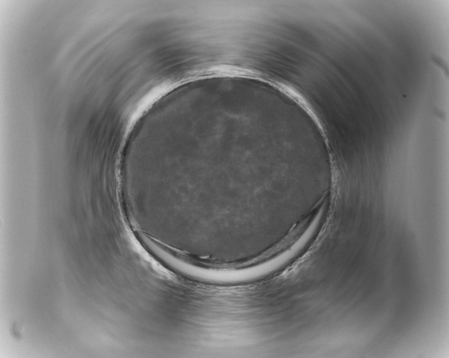 X0000099381381200805291119