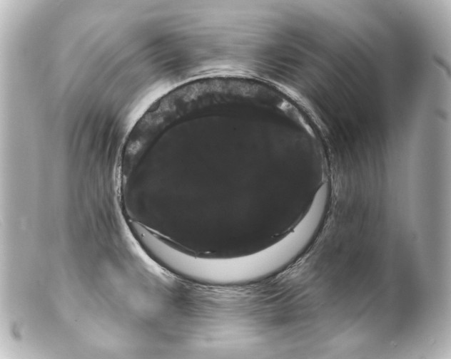 X0000099381383200805291119