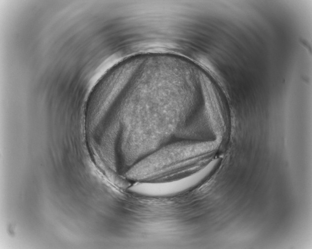 X0000099381384200805291119