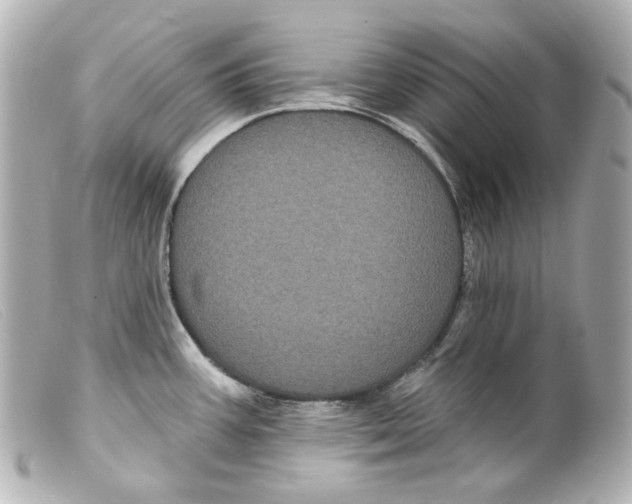 X0000099381387200805291119