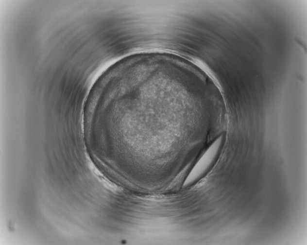 X0000099381388200805291119