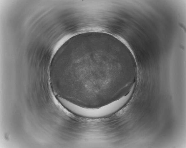 X0000099381389200805291119