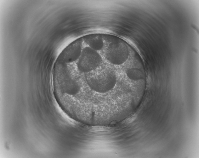 X0000099381391200805291119