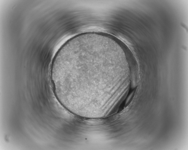 X0000099381392200805291119