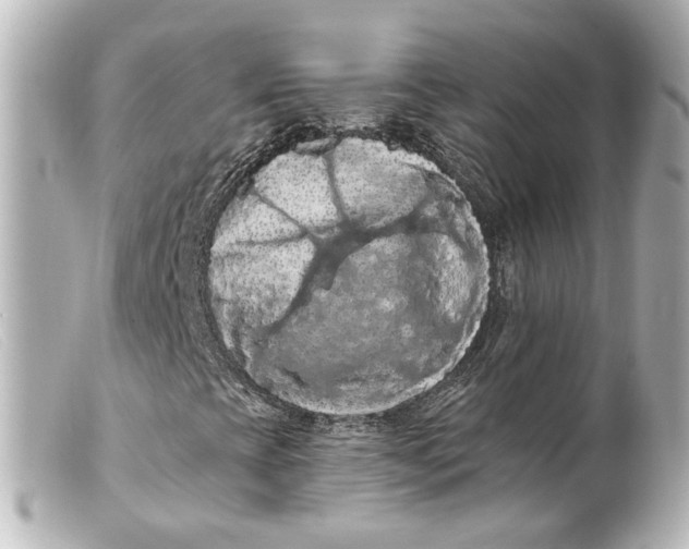 X0000099381393200805291119