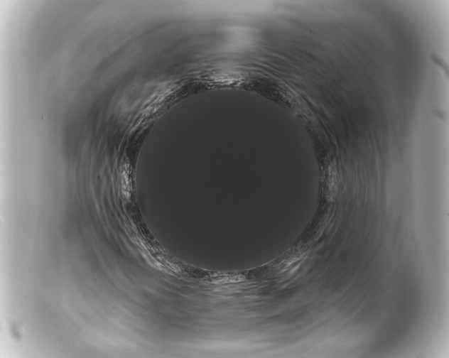 X0000099381394200805291119