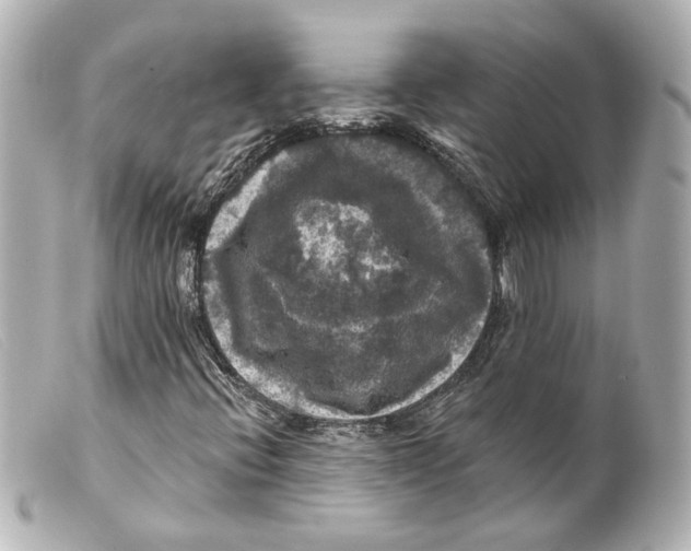 X0000099381396200805291119