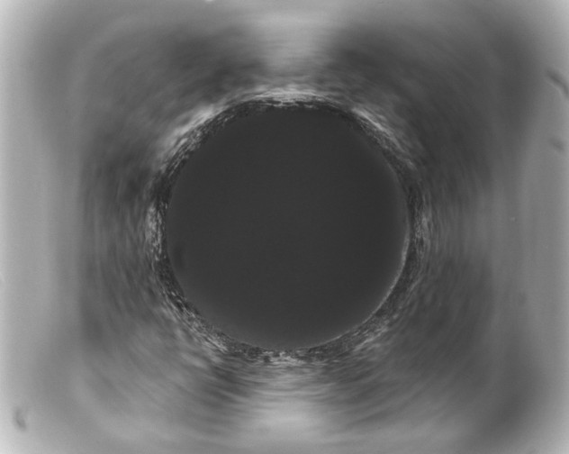 X0000099381398200805291119