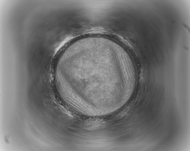 X0000099381400200805291119