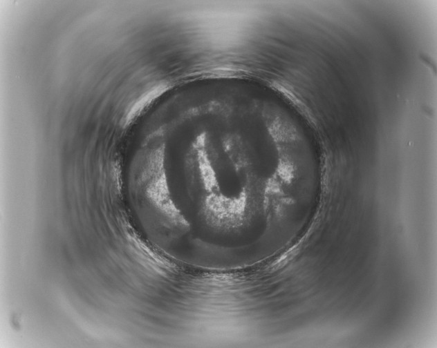 X0000099381402200805291119