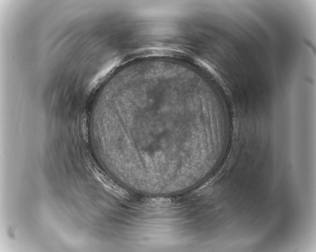 X0000099381403200805291119