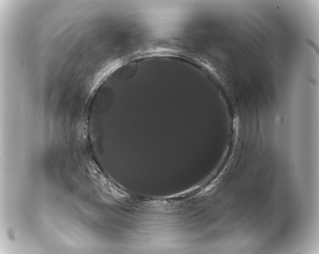 X0000099381405200805291119