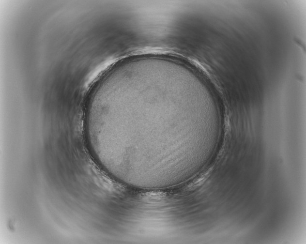 X0000099381406200805291119