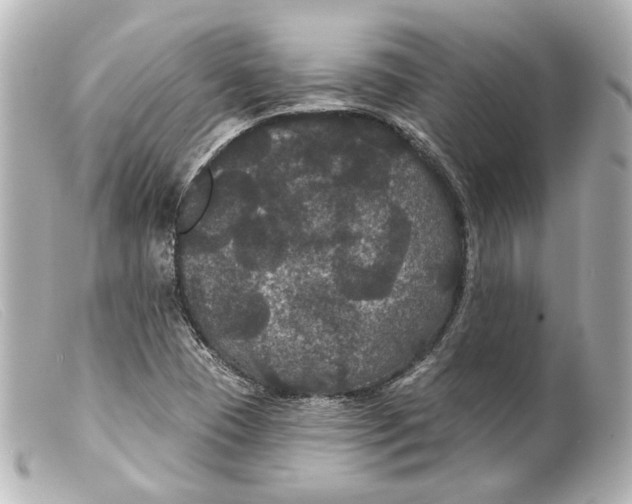 X0000099381409200805291119