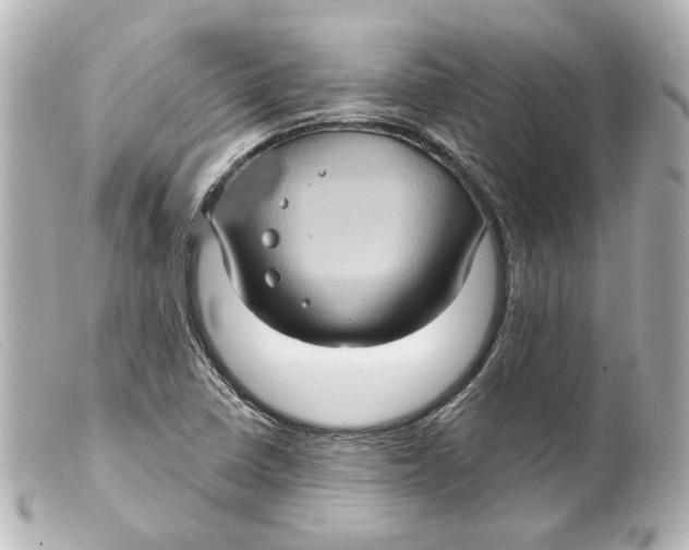 X0000099381410200805291119