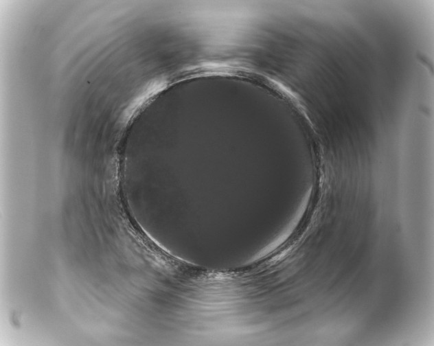 X0000099381411200805291119