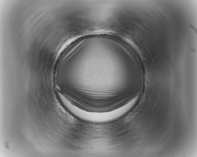 X0000099381412200805291119