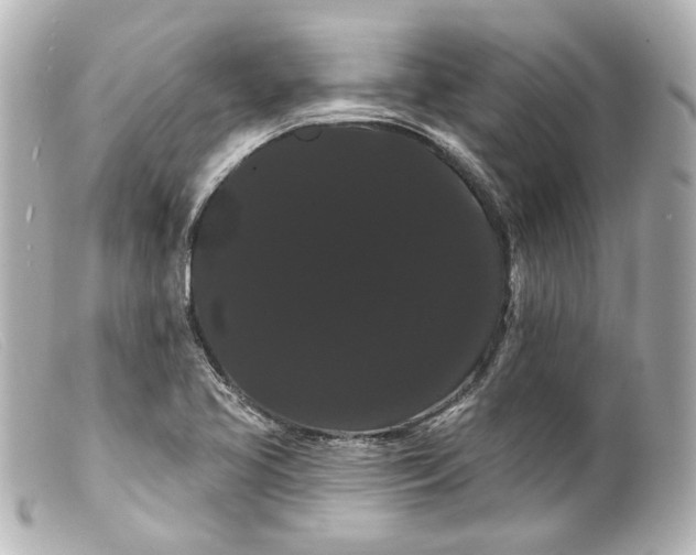 X0000099381413200805291119