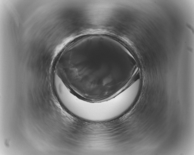 X0000099381414200805291119