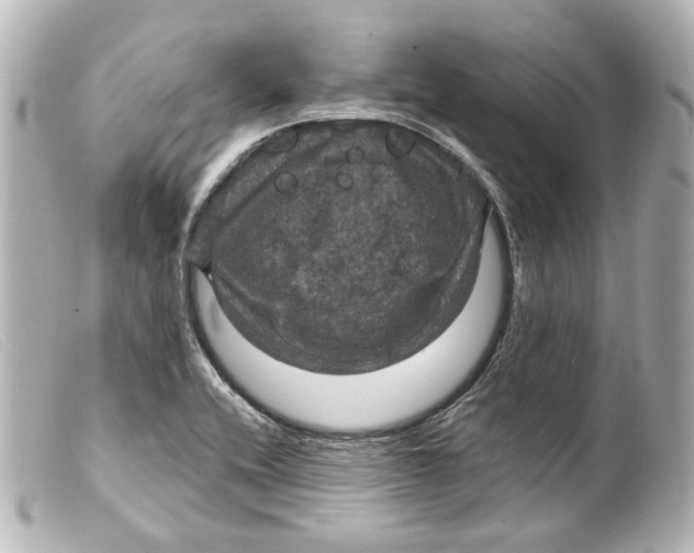 X0000099381416200805291119