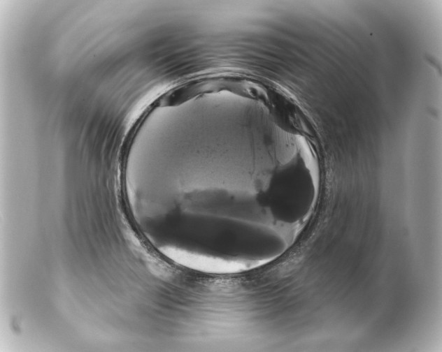 X0000099381418200805291119