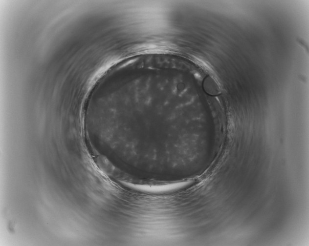 X0000099381419200805291119