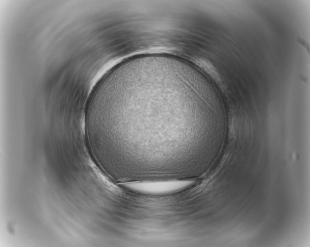 X0000099381420200805291119