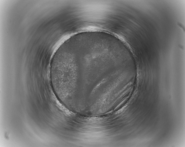 X0000099381421200805291119