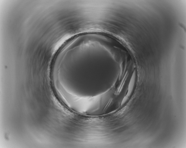 X0000099381422200805291119