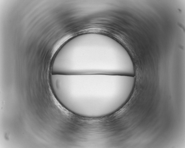 X0000099381426200805291119