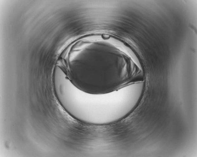 X0000099381428200805291119