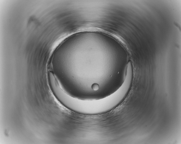 X0000099381430200805291119