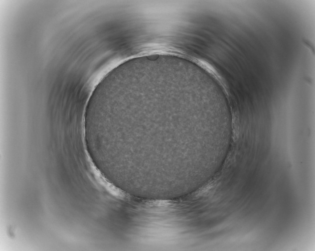 X0000099381431200805291119