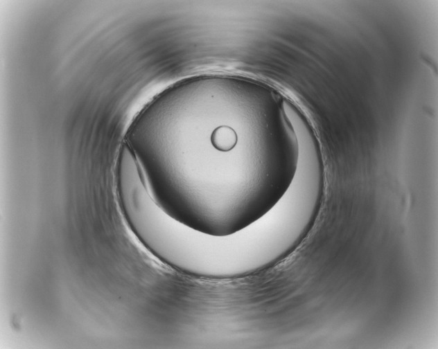 X0000099381432200805291119