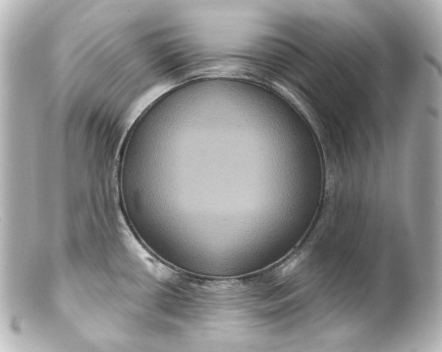 X0000099381434200805291119