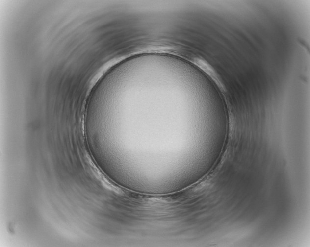 X0000099381436200805291119