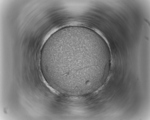 X0000099381437200805291119