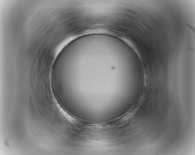 X0000099381438200805291119