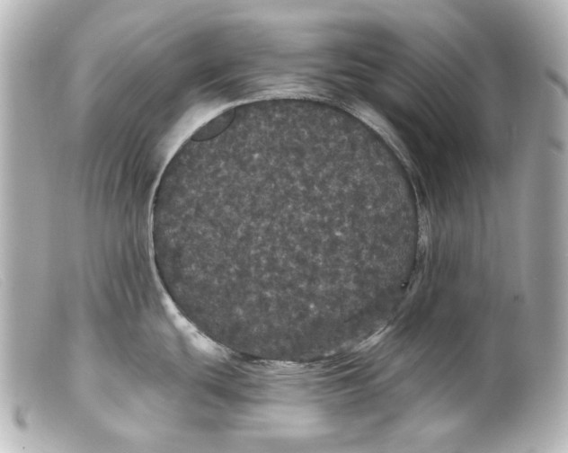 X0000099381439200805291119